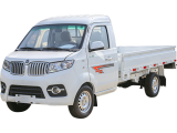 Xe tải Shineray DongBen T30 - 1T25  Đời 2020, thùng dài 2,9m giá tốt nhất HCM